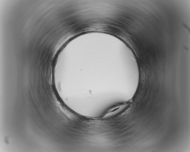 X0000098131131200805151109