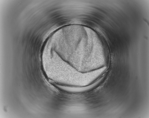 X0000098131133200805151109