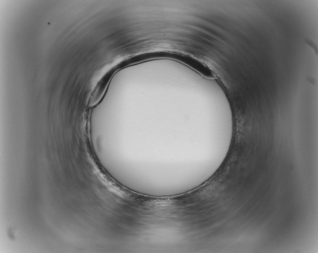 X0000098131134200805151109