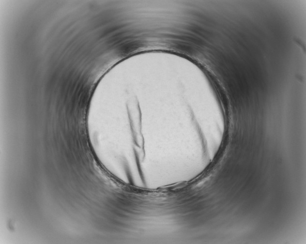 X0000098131137200805151109
