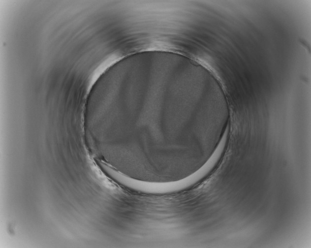 X0000098131138200805151109