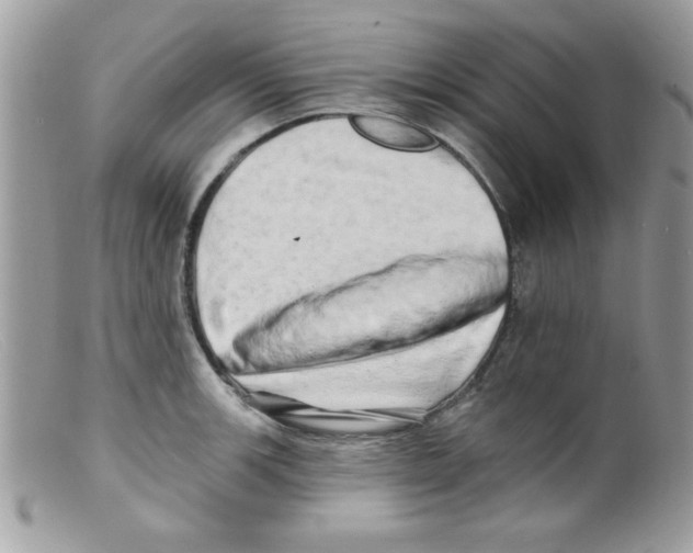 X0000098131139200805151109