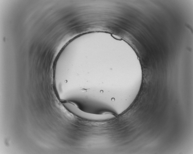 X0000098131140200805151109