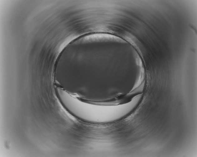 X0000098131141200805151109