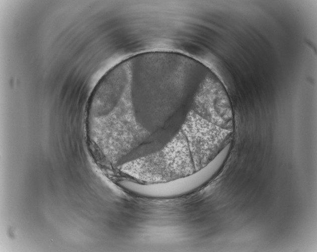 X0000098131142200805151109