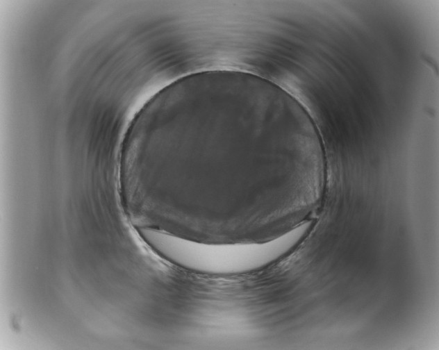 X0000098131144200805151109