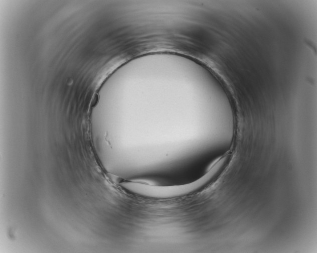 X0000098131145200805151109
