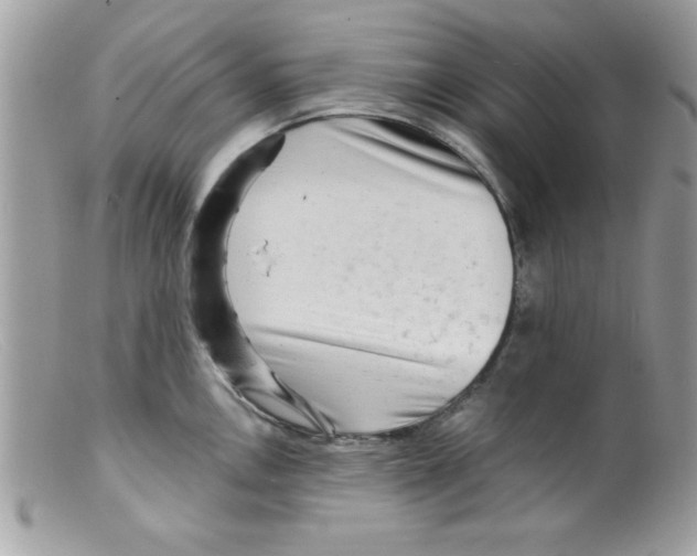 X0000098131146200805151109
