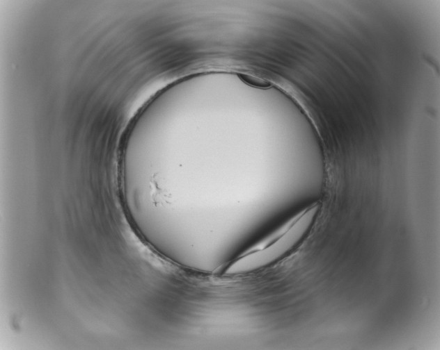 X0000098131147200805151109