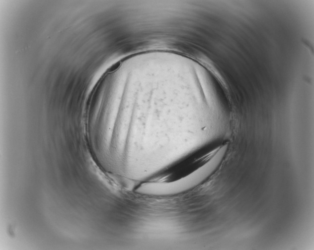 X0000098131148200805151109