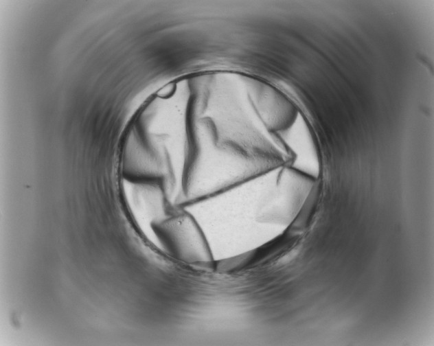 X0000098131149200805151109