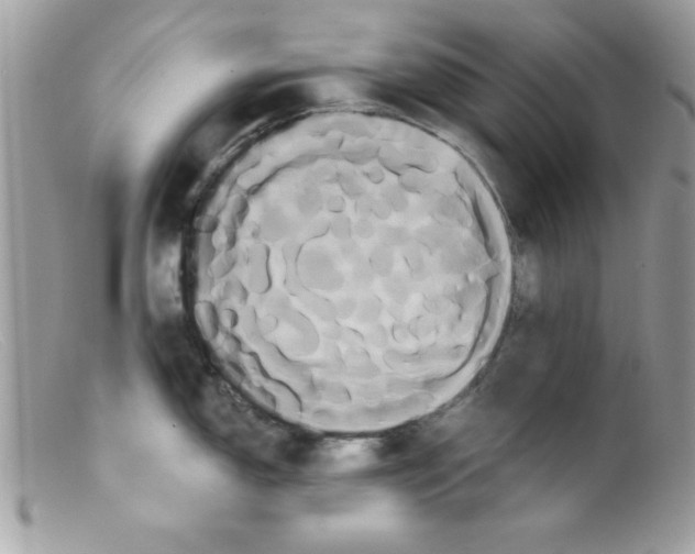 X0000098131150200805151109