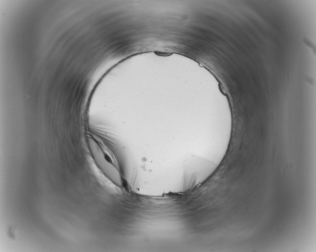 X0000098131152200805151109