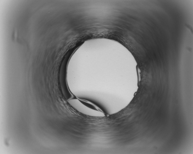X0000098131153200805151109