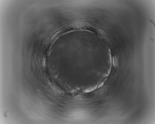 X0000098131155200805151108
