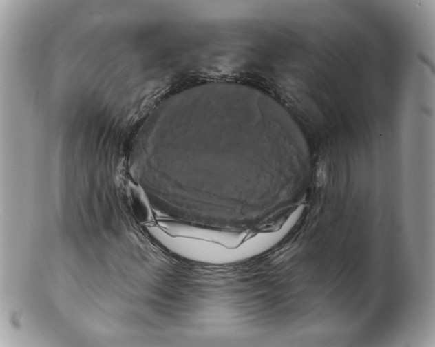 X0000098131156200805151108