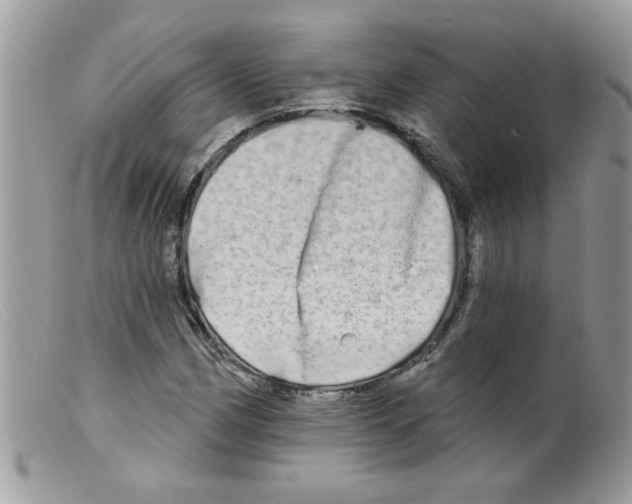 X0000098131162200805151108