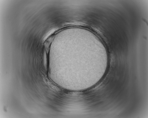 X0000098131163200805151108