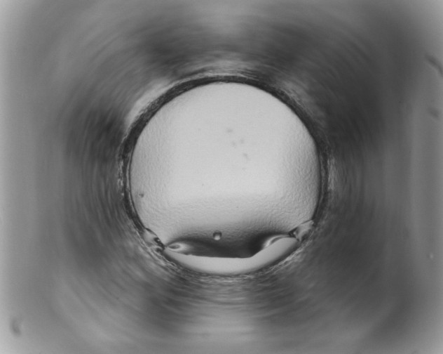 X0000098131164200805151108
