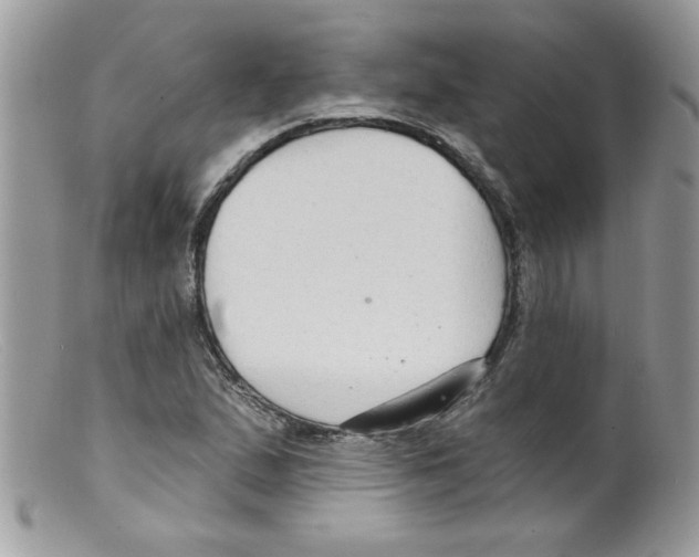 X0000098131167200805151108