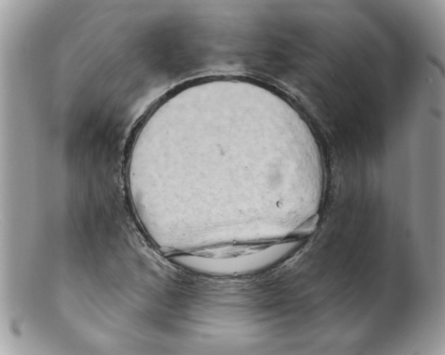 X0000098131168200805151108