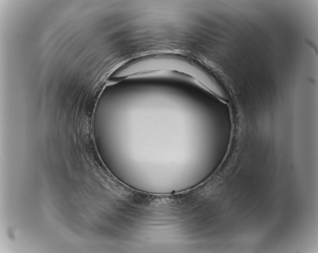 X0000098131169200805151108