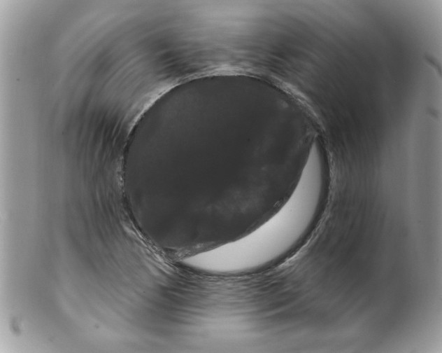 X0000098131170200805151108