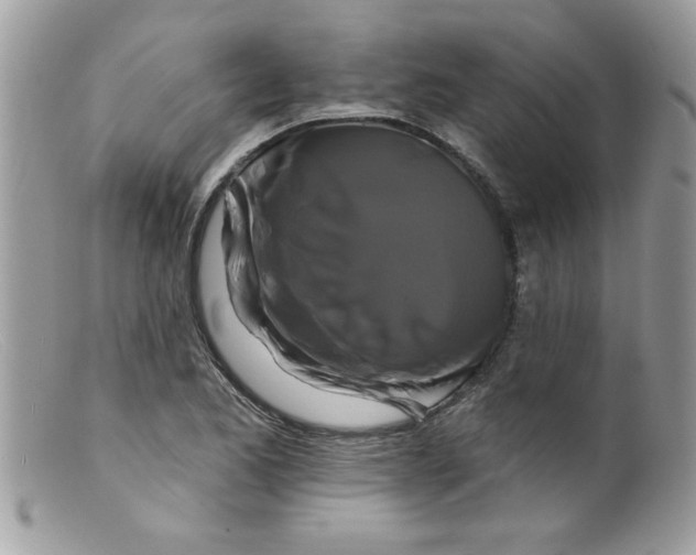 X0000098131173200805151108