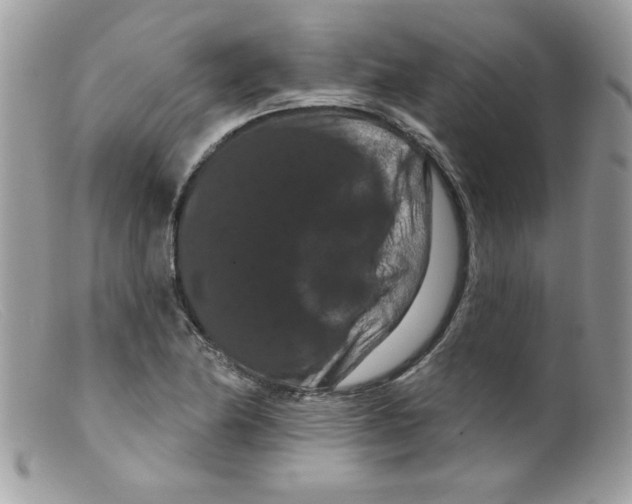 X0000098131174200805151108
