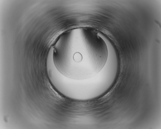 X0000098131177200805151108