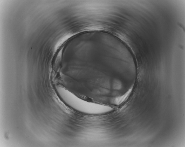 X0000098131179200805151108