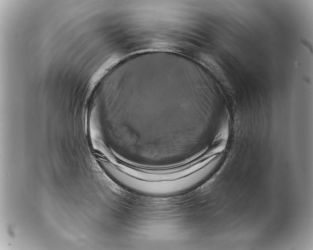 X0000098131180200805151108