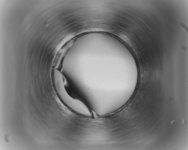 X0000098131181200805151108