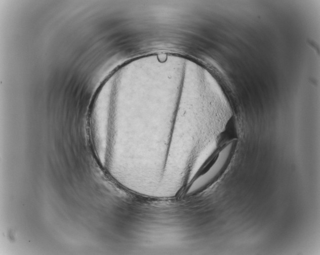 X0000098131182200805151108