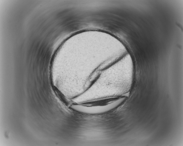 X0000098131183200805151108