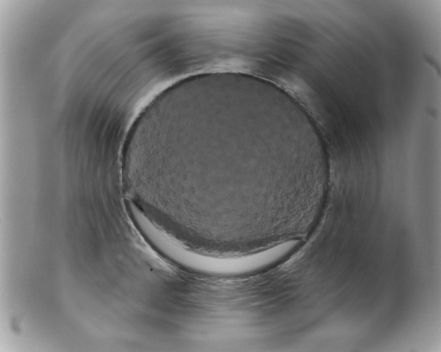 X0000098131184200805151108