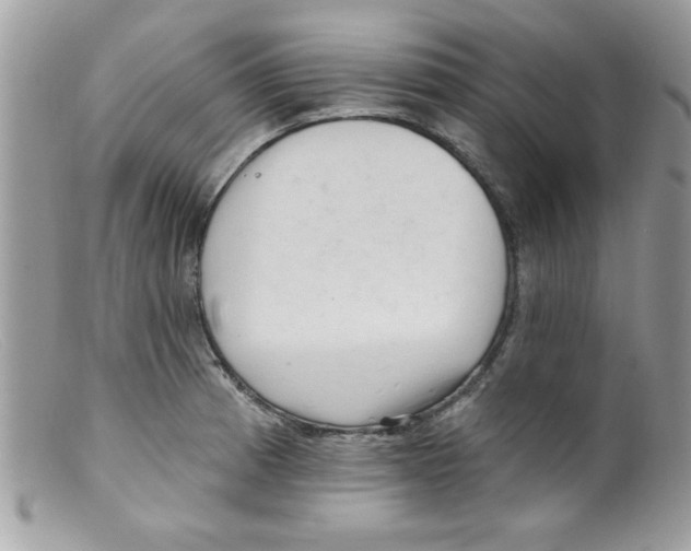 X0000098131185200805151108