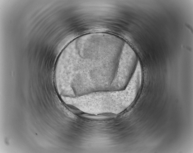 X0000098131186200805151108