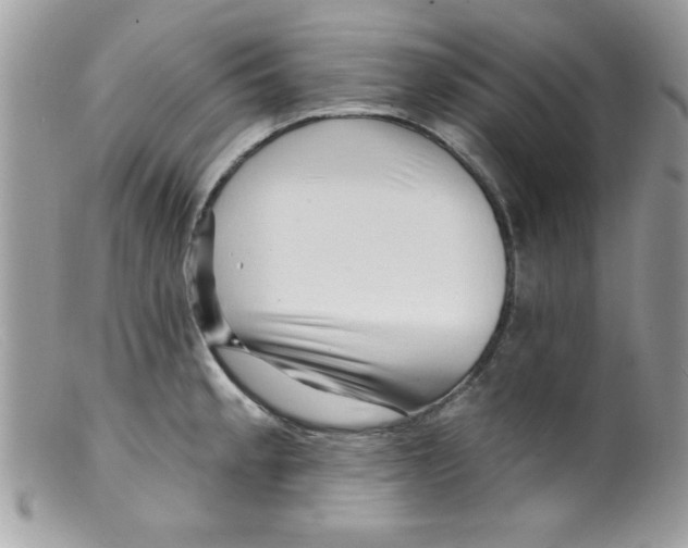 X0000098131189200805151108