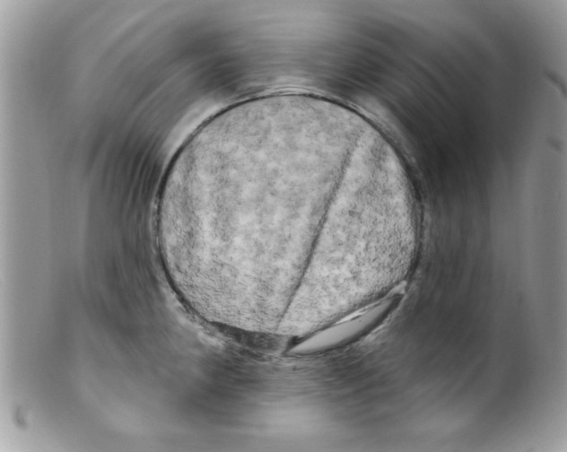 X0000098131190200805151108