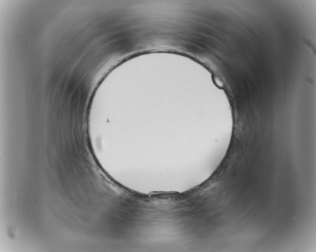 X0000098131191200805151108