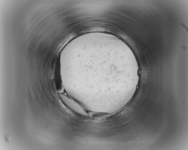 X0000098131193200805151108
