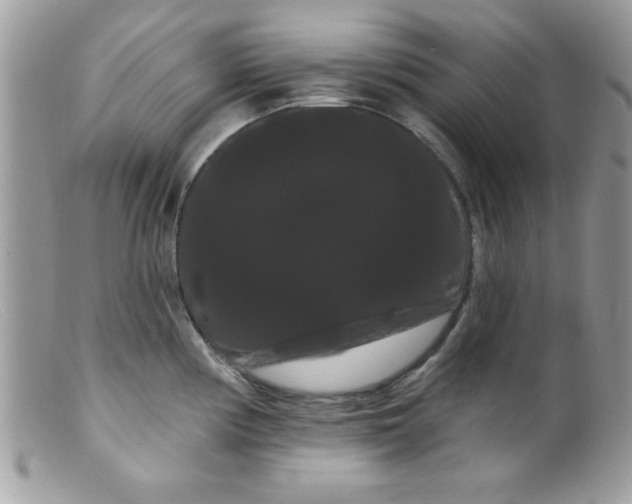 X0000098131194200805151108