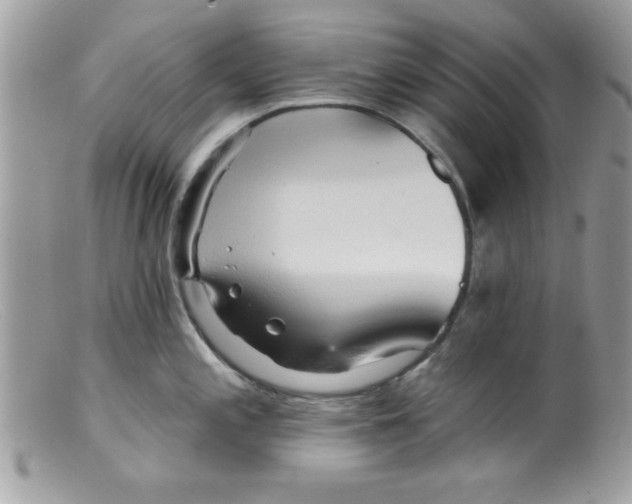 X0000098131197200805151108