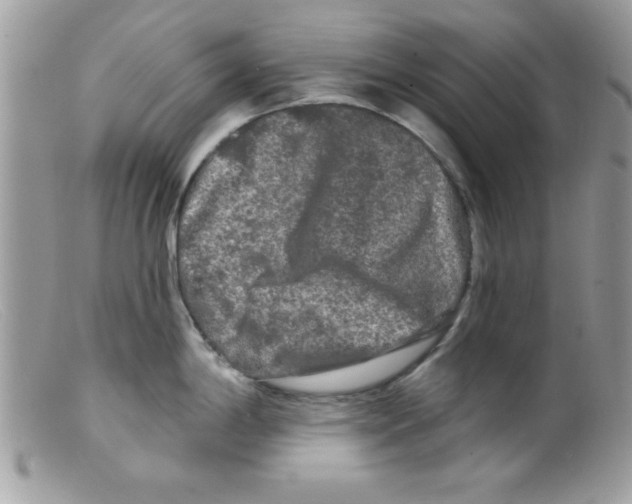 X0000098131198200805151108