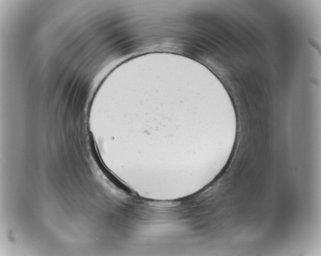 X0000098131200200805151108