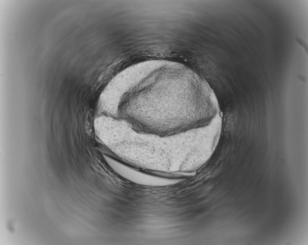 X0000098131202200805151107
