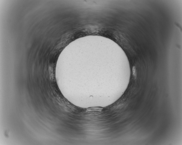 X0000098131203200805151107