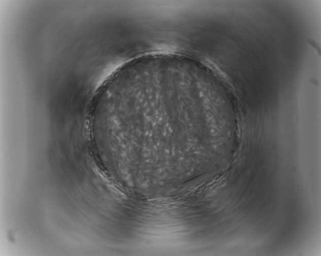 X0000098131208200805151107