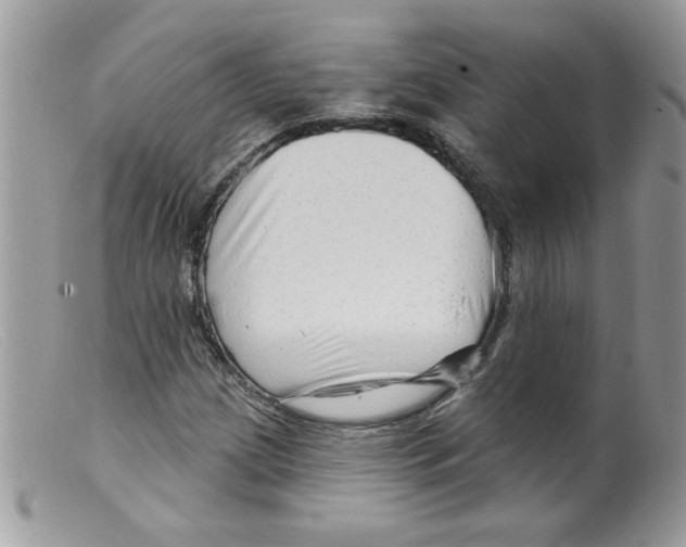X0000098131209200805151107